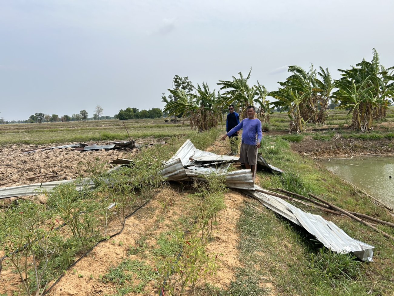 วันจันทร์ ที่ 20 เมษายน พ.ศ.2569 เทศบาลตำบลปราสาท อำเภอบ้านด่าน จังหวัดบุรีรัมย์ เจ้าหน้าที่งานป้องกันและบรรเทาสาธารณภัยลงสำรวจพื้นที่ วาตภัย หมู่11 จำนวน 1 ราย ในพื้นที่ตำบลปราสาท อำเภอบ้านด่าน จังหวัดบุรีรัมย์ ได้รับความเสียหาย